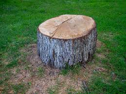 Best Commercial Tree Services  in Lanster, CA