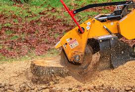 Best Lawn Disease Treatment  in Lanster, CA